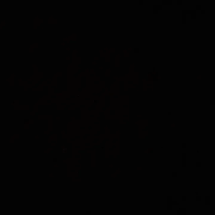 le_dz21