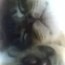 @lolska79