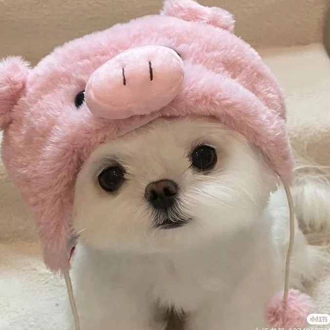 @anna.p3704