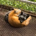 @soffrrrn