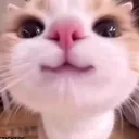 @lapochka1101