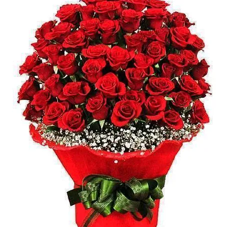 @desideri27