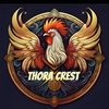 thorastorm.helseservice
