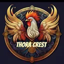@thorastorm.helseservice
