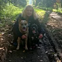 @bardinoheeler