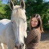 equestrian_ale