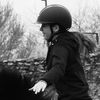 tess.horse