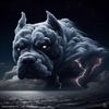 ernie_dog_805