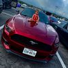frankiej335