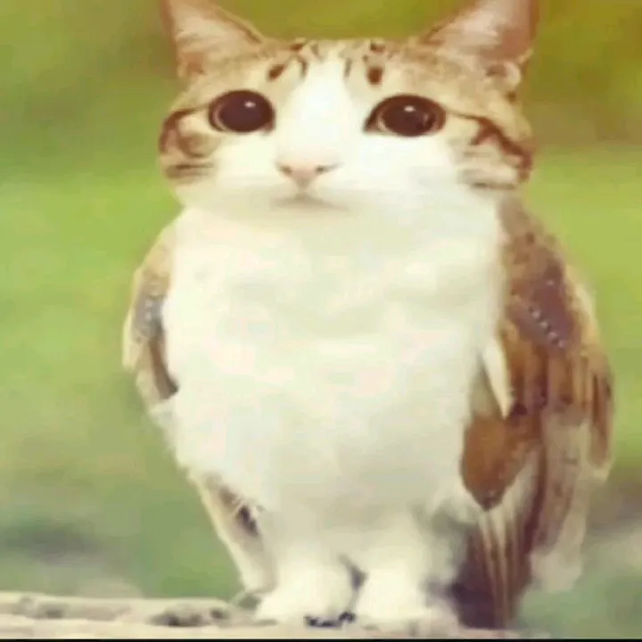 alexa_winniep