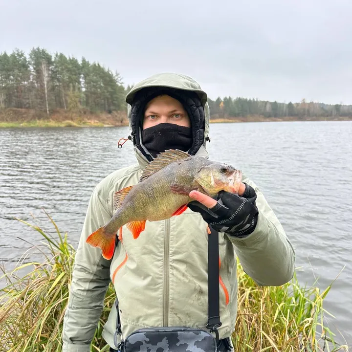 ace.fishing3