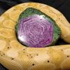 mineralienrobert