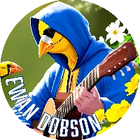 @ewandobsonguitar