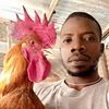 mzeechicksug