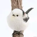@linette303z