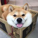 @bryanohan28