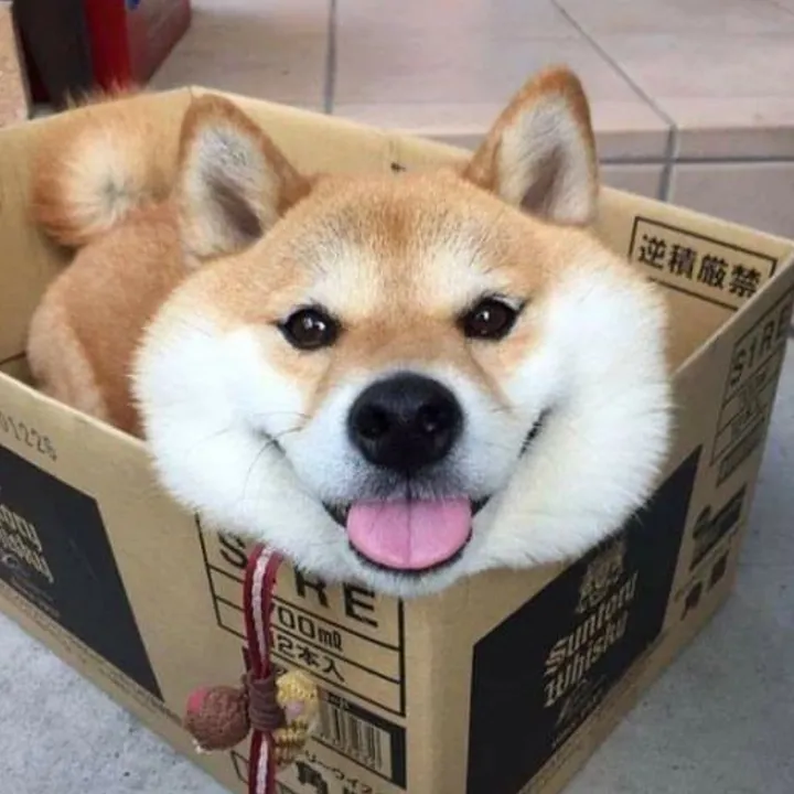 bryanohan28