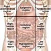 anatomy8969