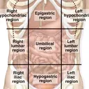 @anatomy8969