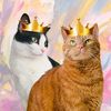 twospoiledhousecats
