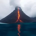 @spy.pigeon1