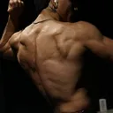 @956.gym.culture