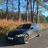 scottish_exotics