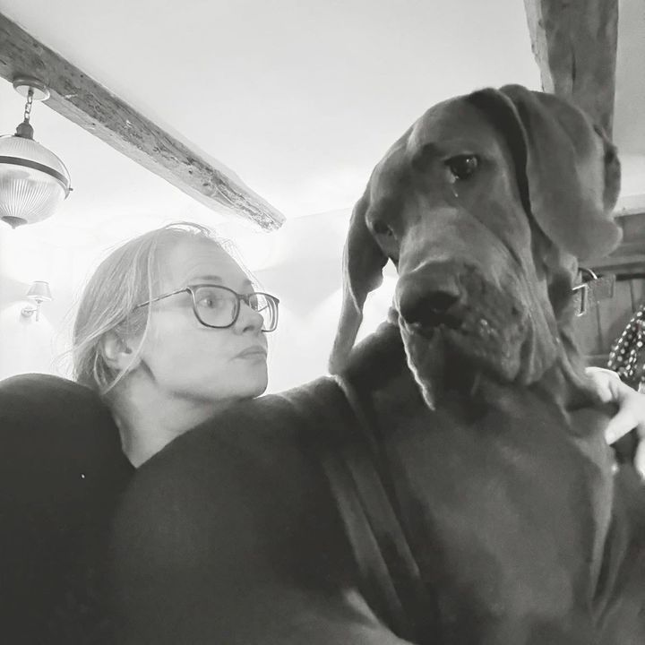 Developer and The Dane - original sound