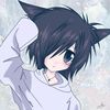hikkikomori.neko