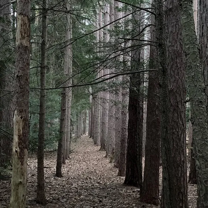 wanderthetrail