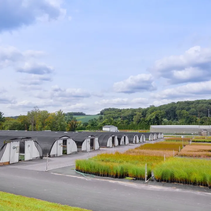 perennialfarm