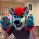 @splashkase