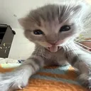 @prodnosleep