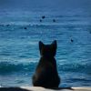 my.minhleonfurn72