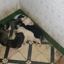 @jonybaali