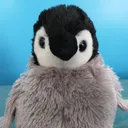 @thepenguinrob