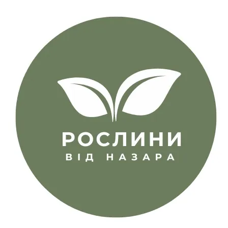 roslyny_vid_nazara