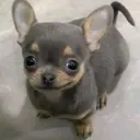 @thixtheven_