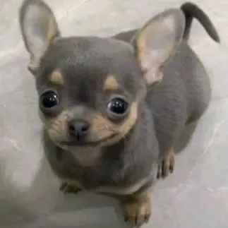 @thixtheven_