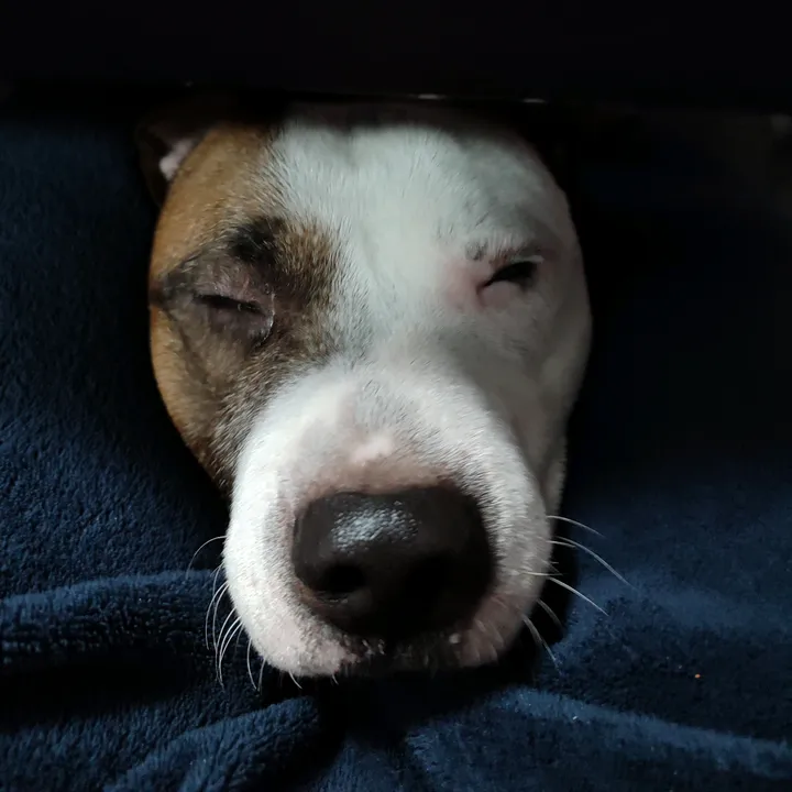 blvckmxuth