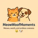 @meow_woof_moments