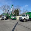 andersons_tree_service