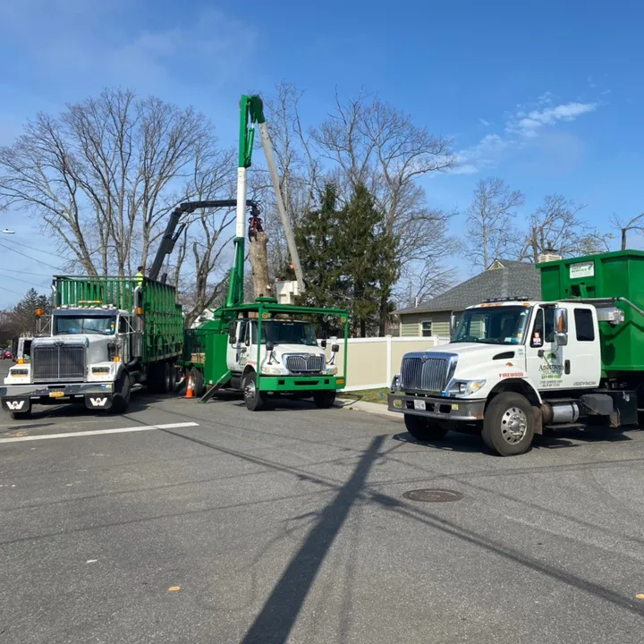 @andersons_tree_service