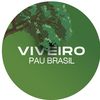 viveiropaubrasil_
