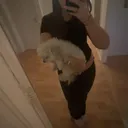 @elin.daghnorman