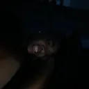 @arandomgirl200