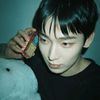 ilan_433