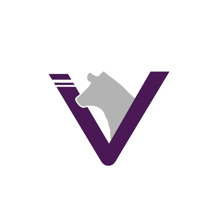 vos_cattle