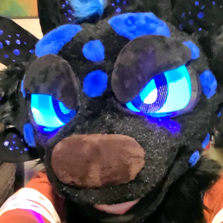 dashthenightfurytaidum