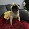 lizzylapug